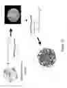 Fig. 11 - SYNTHETIC PLATELETS