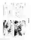 Fig. 16 - SYNTHETIC PLATELETS
