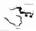 Fig. 27 - SYNTHETIC PLATELETS