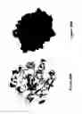 Fig. 30 - SYNTHETIC PLATELETS