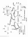 Fig. 43 - SYNTHETIC PLATELETS