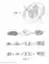 Fig. 07 - Apparatus and process for encapsulating capsules or other solid dosage forms within capsules