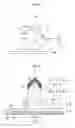 Fig. 08 - TRANSDERMAL ABSORPTION SHEET AND METHOD OF MANUFACTURING TRANSDERMAL ABSORPTION SHEET