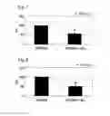 Fig. 04 - AGENT FOR IMPROVING GLUCOSE TOLERANCE DISORDER