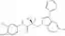 Fig. 174 - Selective androgen receptor degrader (SARD) ligands and methods of use thereof
