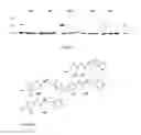 Fig. 31 - Selective androgen receptor degrader (SARD) ligands and methods of use thereof