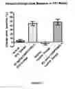 Fig. 05 - PHARMACEUTICAL COMPOSITIONS OF SPIRO-OXINDOLE COMPOUND FOR TOPICAL ADMINISTRATION AND THEIR USE AS THERAPEUTIC AGENTS