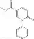 Fig. 40 - Method of modulating stress-activated protein kinase system