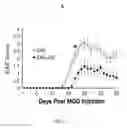 Fig. 03 - COMPOUNDS AND METHODS FOR TREATING MULTIPLE SCLEROSIS