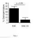 Fig. 07 - COMPOUNDS AND METHODS FOR TREATING MULTIPLE SCLEROSIS