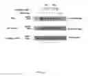 Fig. 07 - Methods and compounds to inhibit enveloped virus release