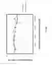 Fig. 13 - Methods and compounds to inhibit enveloped virus release