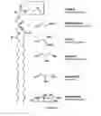 Fig. 06 - Protective effect of DMPC, DMPG, DMPC/DMPG, LYSOPG and LYSOPC against drugs that cause channelopathies