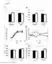 Fig. 06 - Process for the Extraction of Strawberry P-Coumaroyl Hexose and/or Polyphenols, Extract and Uses Thereof