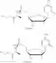 Fig. 04 - Formulation comprising a gemcitabine-prodrug