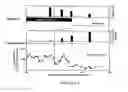 Fig. 02 - USE OF LEPTIN FOR TREATING HUMAN LIPOATROPHY AND METHOD FOR DETERMINING PREDISPOSITION TO SAID TREATMENT