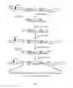 Fig. 02 - Method of obtaining a polyepitopic protein and polyepitopic DNA vector