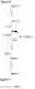 Fig. 166 - Targeted conjugates and particles and formulations thereof