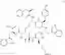 Fig. 265 - Targeted conjugates and particles and formulations thereof