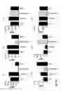 Fig. 22 - METHODS AND COMPOSITIONS FOR TREATING ALLERGY AND INFLAMMATORY DISEASES