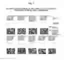 Fig. 07 - Cell structure for brain damage treatment, production method thereof, and brain damage treatment agent