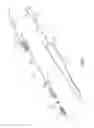 Fig. 02 - Tip protector for a safety catheter