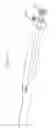 Fig. 58 - Dual chamber syringe with retractable needle