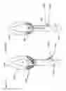 Fig. 13 - Device to reduce discomfort in the upper airway