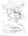Fig. 01 - SYSTEMS, DEVICES, KITS, AND METHODS FOR DELIVERING THERAPEUTIC AGENTS