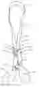 Fig. 01 - Support device for a drain system used in post-surgical procedures