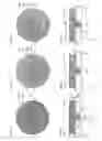 Fig. 03 - Electrical connector, in particular for a cutaneous device