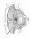 Fig. 16 - Methods for stimulating a dorsal root ganglion