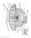 Fig. 17 - Methods for stimulating a dorsal root ganglion