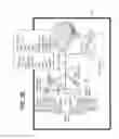 Fig. 31 - Methods for stimulating a dorsal root ganglion