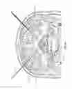 Fig. 46 - Methods for stimulating a dorsal root ganglion