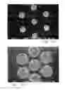 Fig. 17 - Biocompatible bonding method and electronics package suitable for implantation