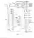 Fig. 05 - CATHETER-BASED DEVICES AND ASSOCIATED METHODS FOR IMMUNE SYSTEM NEUROMODULATION