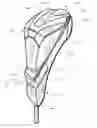 Fig. 01 - Headcovers having a collapsible configuration and methods to manufacture headcovers having a collapsible configuration