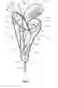 Fig. 07 - Headcovers having a collapsible configuration and methods to manufacture headcovers having a collapsible configuration