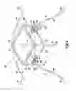 Fig. 05 - HOCKEY TRAINING SYSTEM