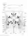 Fig. 14 - Multi-head, multi-abdomen, multi-armed apparatus for use with a slip and counter fight simulation / workout machine or stand alone device for fight simulation