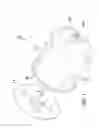Fig. 02 - Oil Filter Assembly