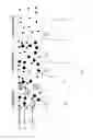 Fig. 02 - Filtration device for rapid separation of biological particles from complex matrices