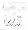 Fig. 02 - Antibacterial and antifouling polymeric separation membrane and preparation method thereof