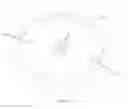 Fig. 14 - Bubble atomizer and method for atomizing liquid