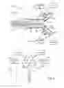Fig. 04 - Powder mixing apparatus and method of use
