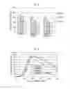 Fig. 04 - EXHAUST GAS PURIFICATION CATALYST AND METHOD FOR PRODUCING SAME