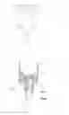 Fig. 02 - Water valve and drinking device