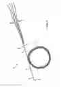 Fig. 02 - Cleaning device with tail swab