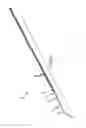 Fig. 03 - Cleaning device with tail swab